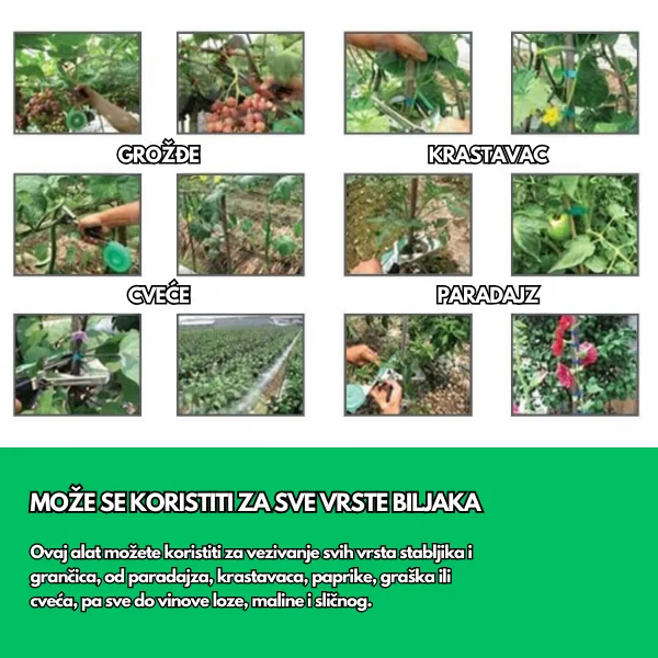 Vezačica Za Vezivanje Stabiljka Voća i Povrća – Makaze Tapetool vezačica za biljke — u upotrebi