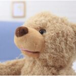 plišani meda koji govori — ugao pogleda