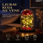 Ruža u Staklenom zvonu sa LED svetlima