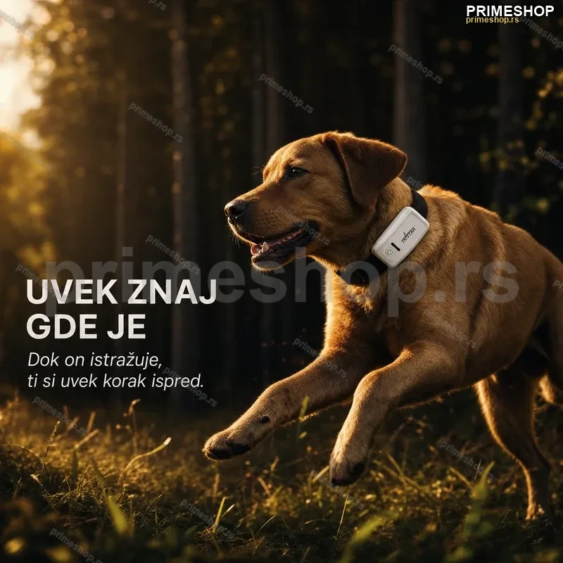TK Star TK909 GPS traker za pse — GPS ogrlica za lovačke pse i kućne ljubimce TK Star TK909 GPS traker za pse — GPS ogrlica za lovačke pse i kućne ljubimce