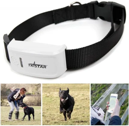 TKSTAR TK909 GPS ogrlica za pse — lokator u ogrlici