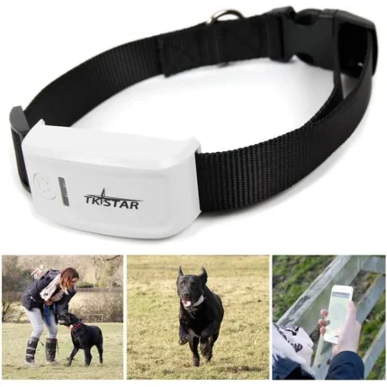 TKSTAR TK909 GPS ogrlica za pse — lokator u ogrlici