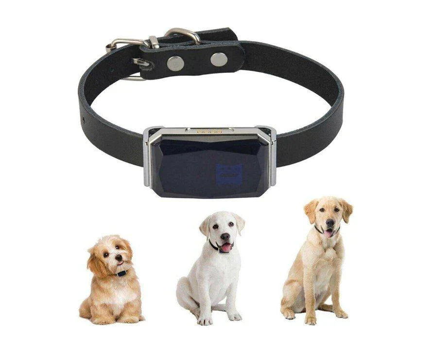 Vodootporni GPS trakeri za pse G12 sa aplikacijom GPS traker za pse - prednja strana